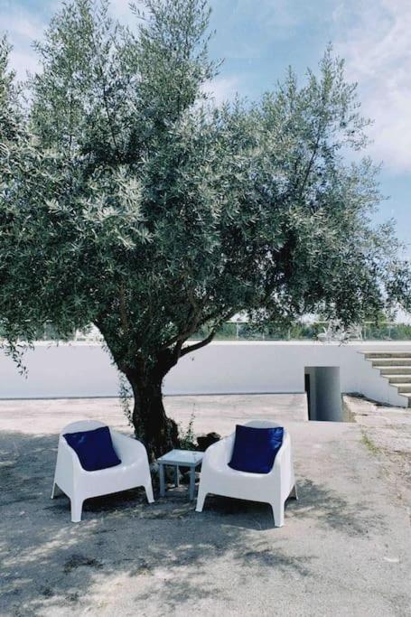 Casa Da Oliveira Villa Nelas Exterior photo
