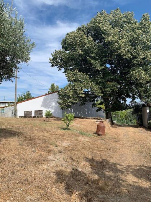 Casa Da Oliveira Villa Nelas Exterior photo